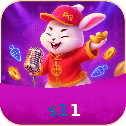 s11